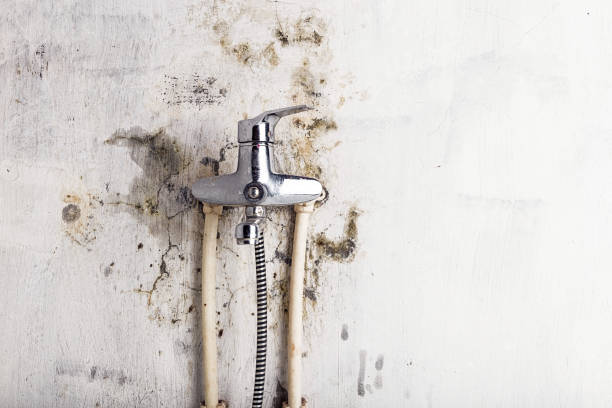 Best Mold Remediation Services  in Fairhope, AL
