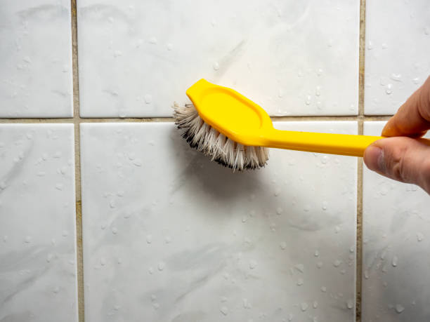 Best Attic Mold Removal  in Fairhope, AL