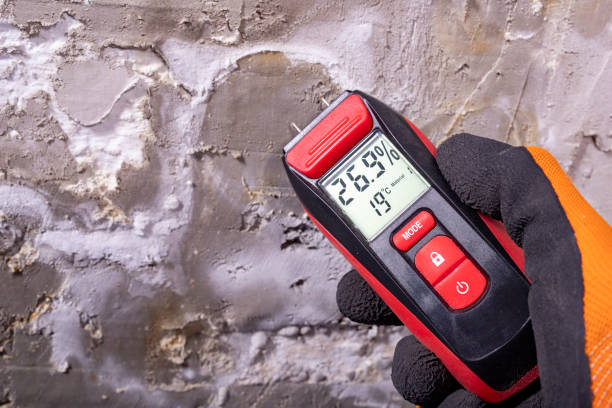 Best Local Mold Removal Service  in Fairhope, AL