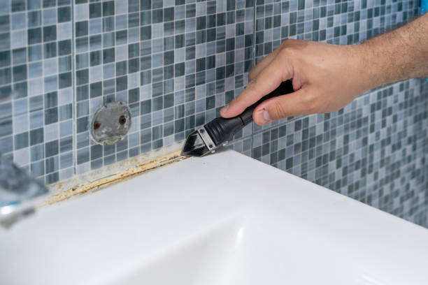 Best Same-Day Mold Removal  in Fairhope, AL